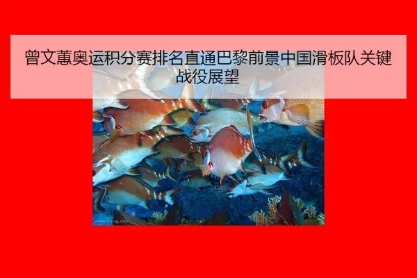 ceng-wen-hui-ao-yun-ji-fen-sai-pai-ming-zhi-tong-ba-li-qian-jing-zhong-guo-hua-ban-dui-guan-jian-zhan-yi-zhan-wang-3-800.jpg