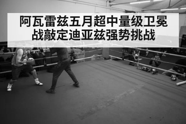 boxer training gym